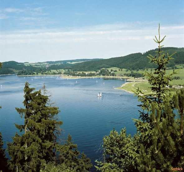 Hotel Seeblick Saalburg Exterior foto